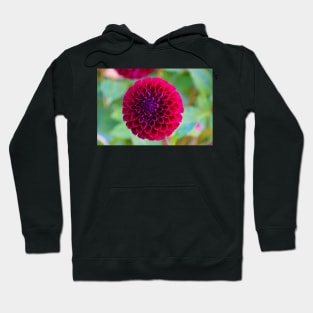 Dahlia Hoodie